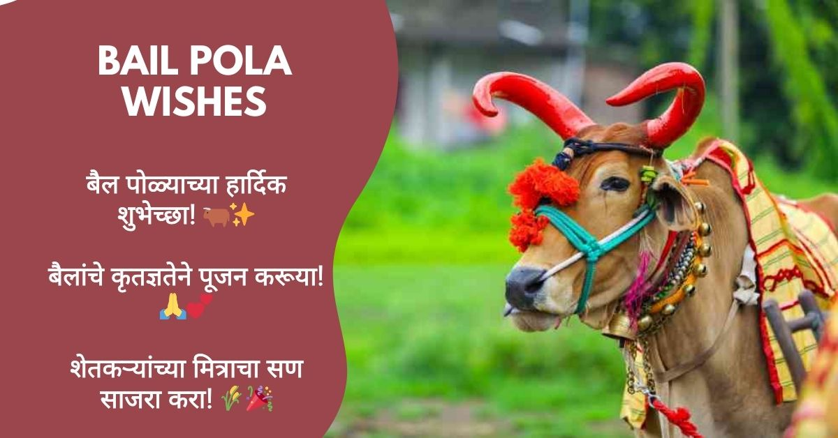 Bail Pola Wishes